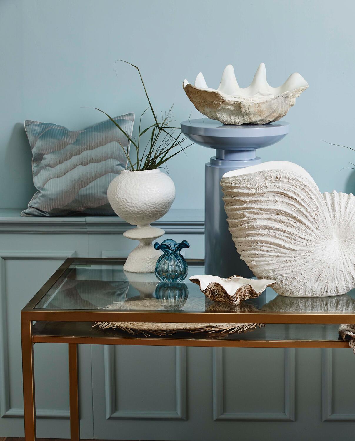 Kichi shell, Small - brown